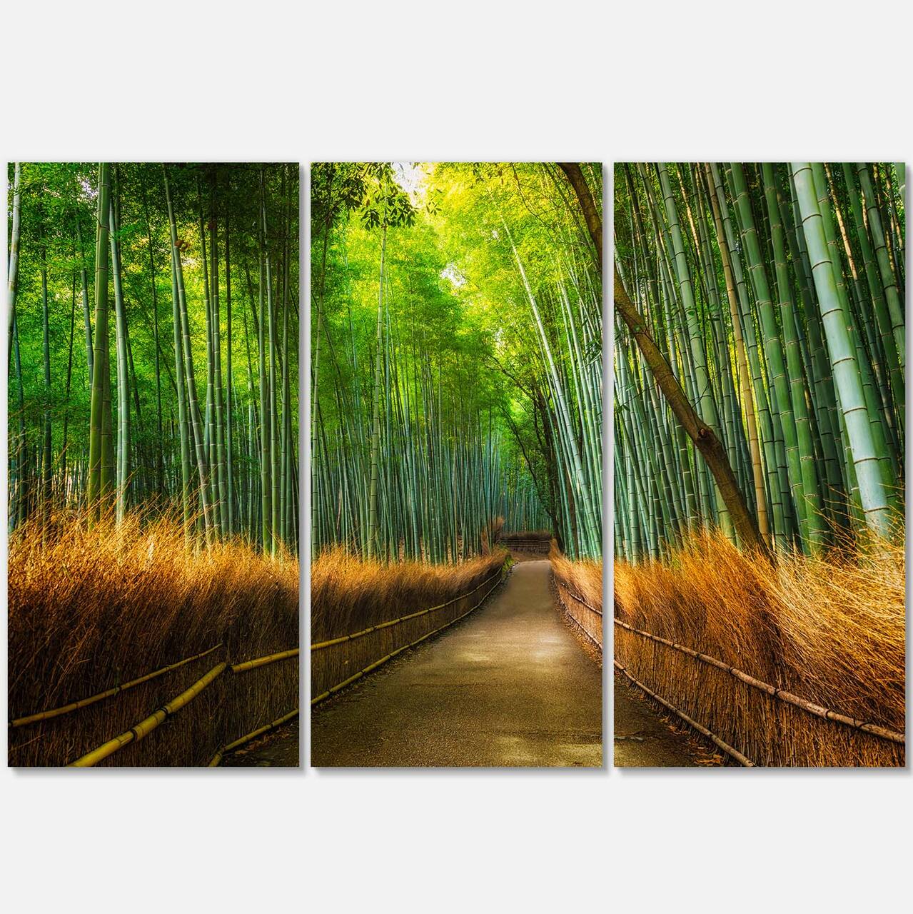 Designart - Arashiyama Bamboo Grove Japan - Oversized Forest Canvas Artwork
